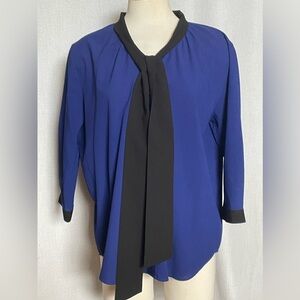 The Shirt Rochelle Behrens blouse